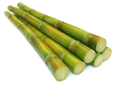 Fresh-sugar-cane-over-white-background--500k.jpg